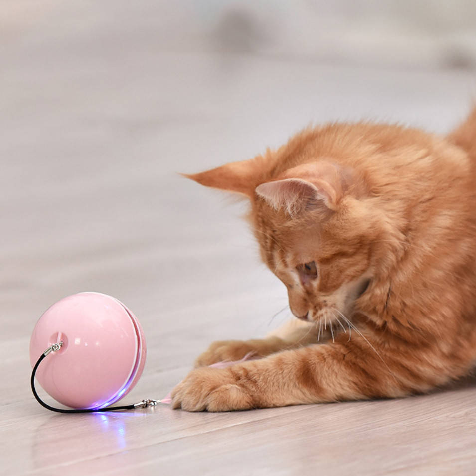 

Игрушка для кошки USB smart мяч-шарик c лазерной указкой и LED подсветкой Розовый