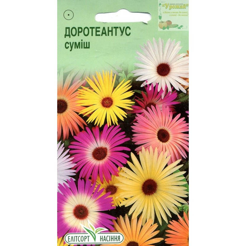 

Семена цветы Доротеантус смесь, 0,1 г