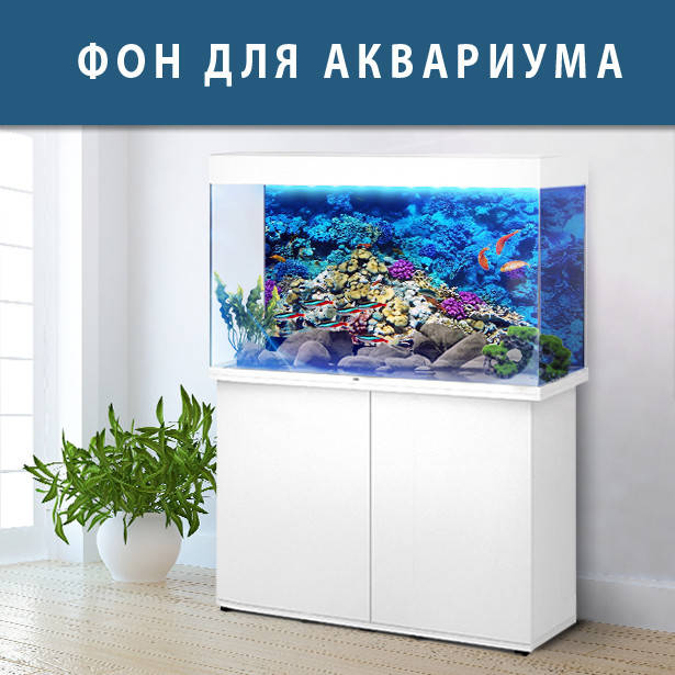 

Наклейка в аквариум 3D морское дно, в разных размерах 40х65 см., Разные цвета