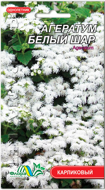 

Агератум Белый Шар