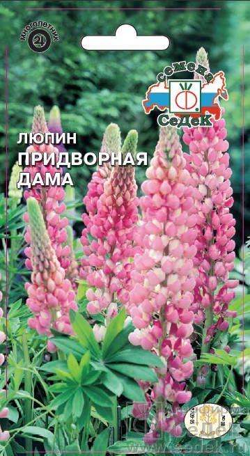 

Семена Люпин многолетний Придворная Дама 0,3 грамма Седек, Розовый
