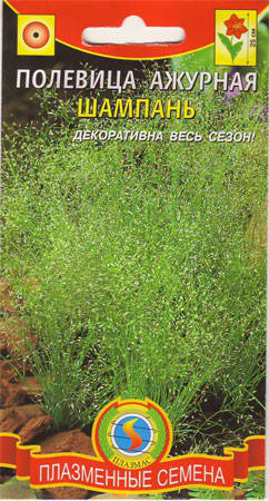 

Полевица ажурная Шампань 100 шт (Плазменные семена)
