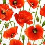 

САЛФЕТКИ 24*24 3 СЛОЯ 20 ШТ МАРГО МАКИ