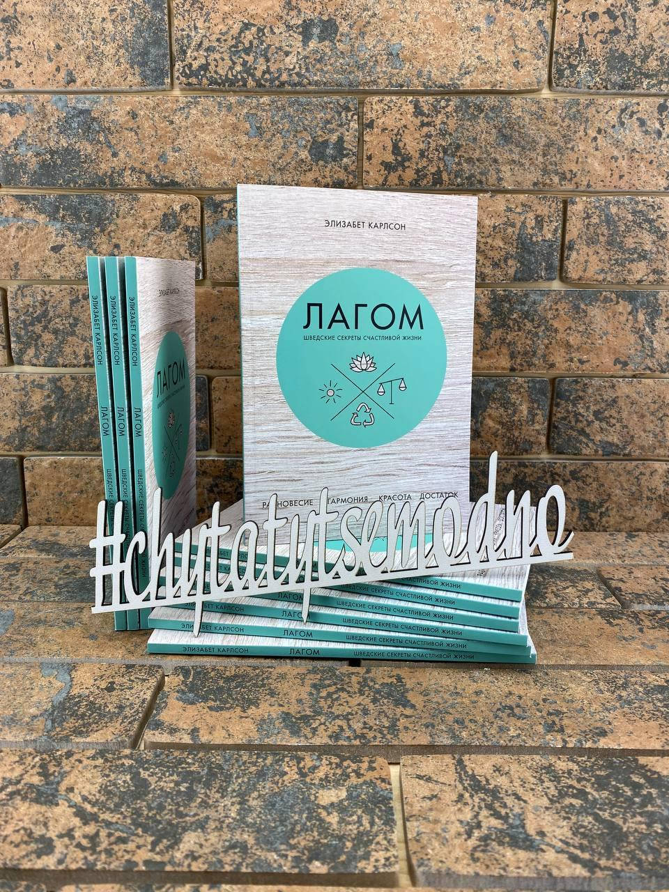 

Лагом. Шведские секреты счастливой жизни Элизабет Карлссон