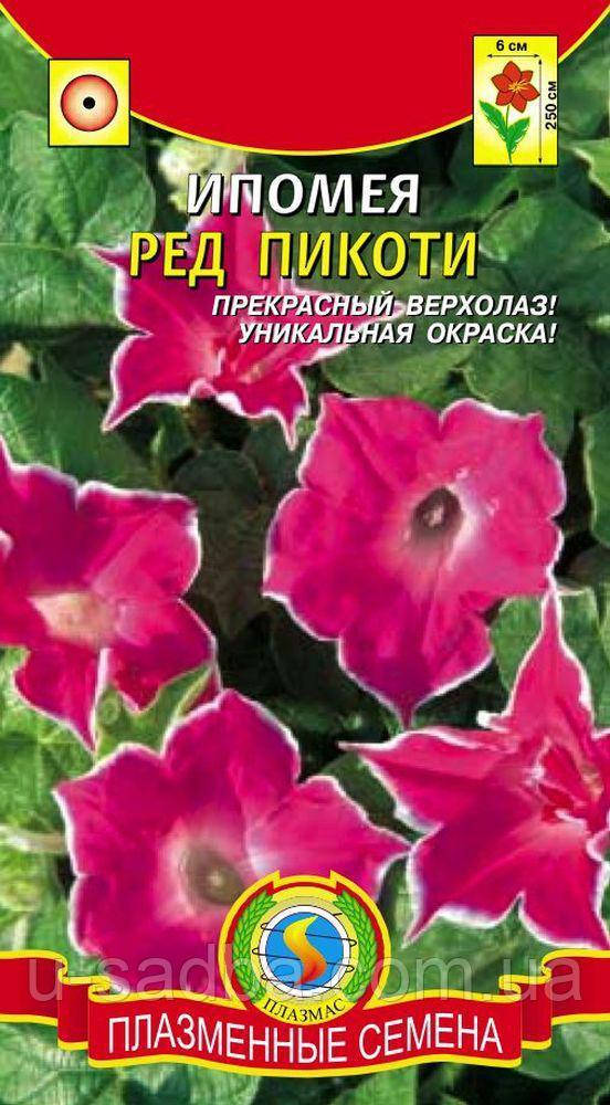 

Ипомея Ред Пикоти 0,2 г (Плазменные семена)