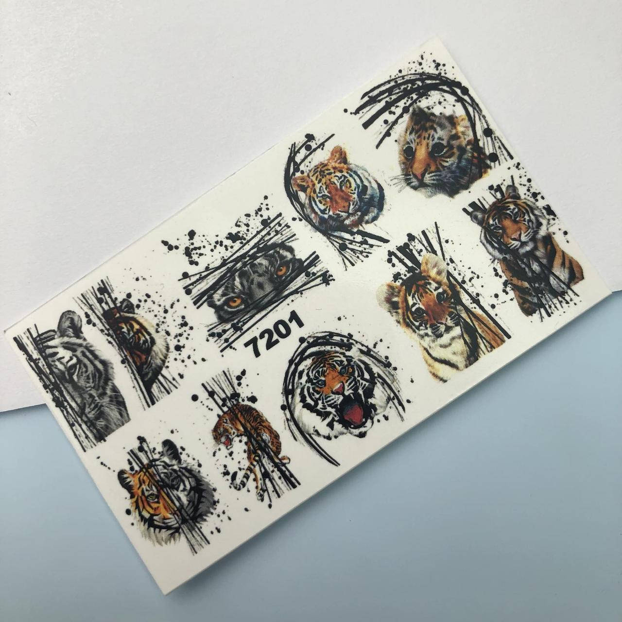 

Слайдер-дизайн 7201