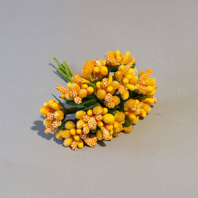 

Тычинки сложные Незабудка Простая оранжевый ЦБм-НеПр-2