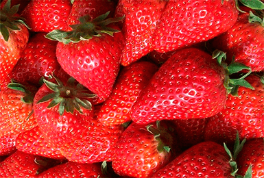 

Саженцы клубники Альба (5шт)