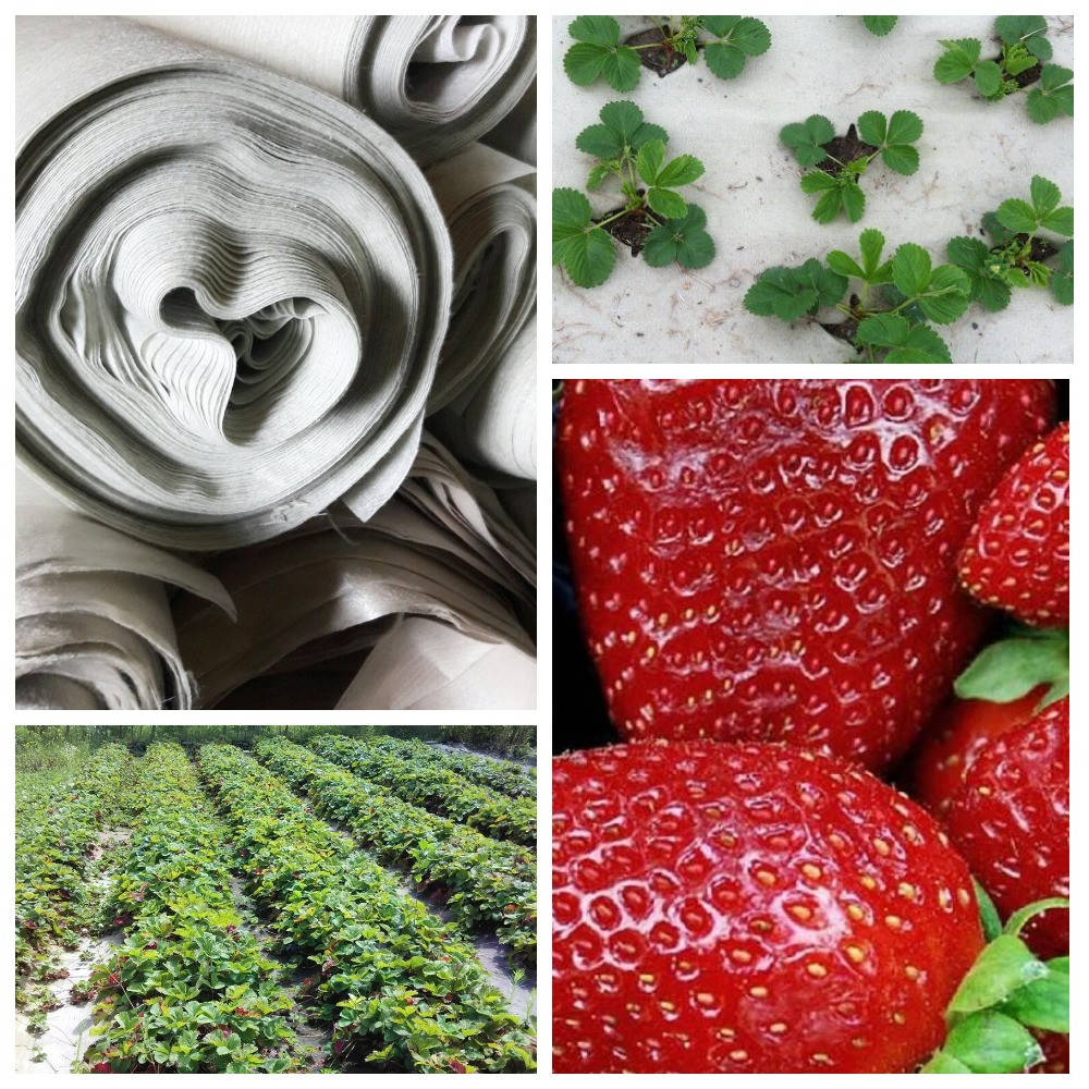 

Геотектиль для клубники, Бежевый