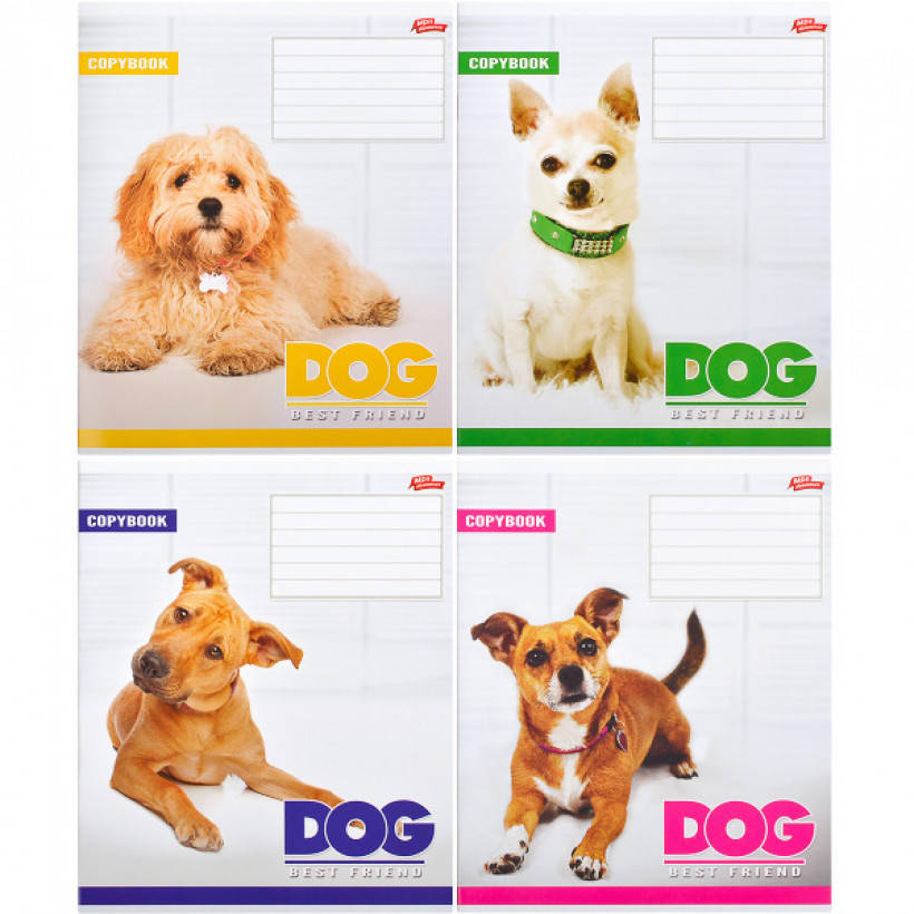 

Тетрадь школьная Мрії Збуваються 12л в клетку арт. 2731к