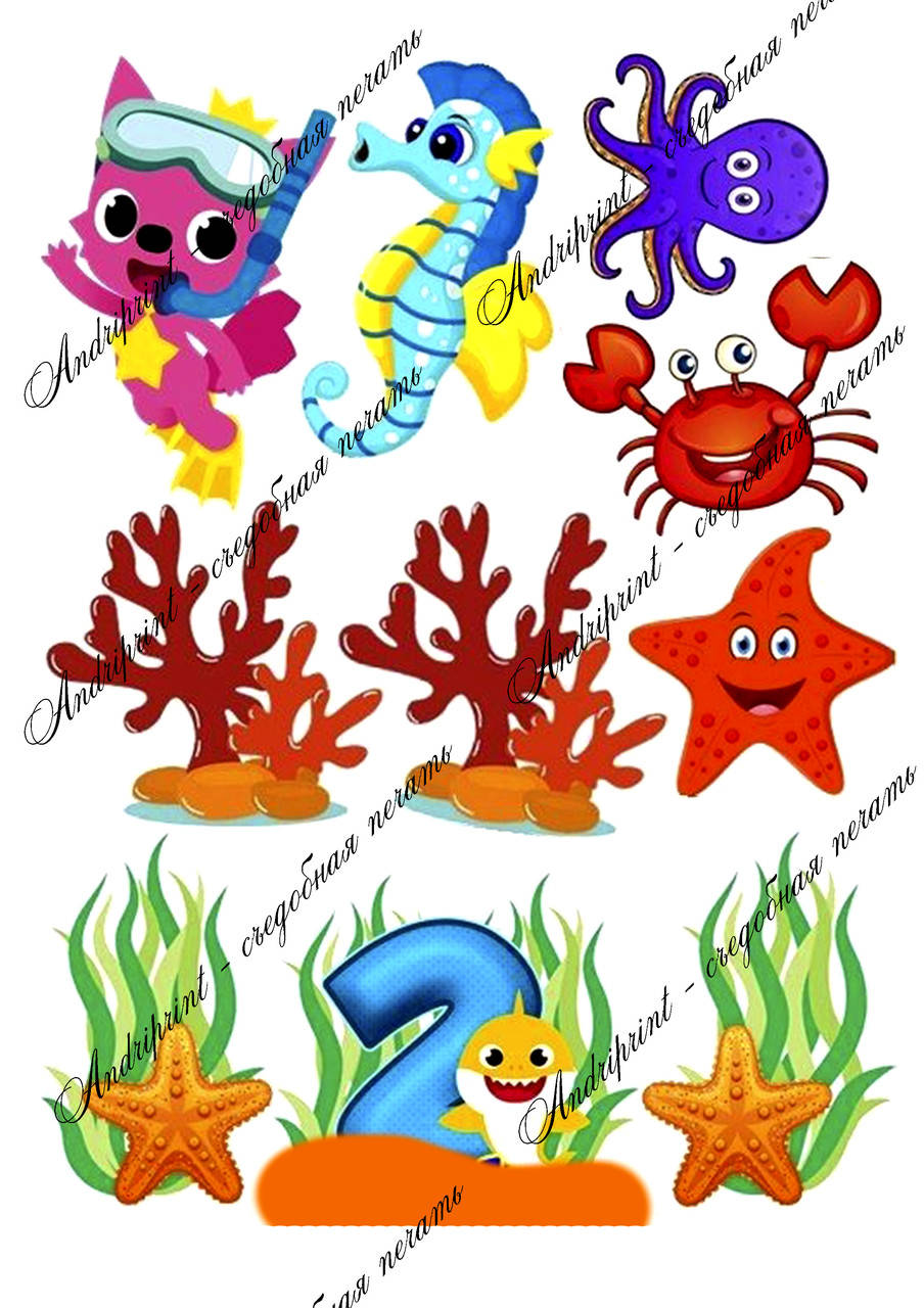 

Съедобная картинка "BABY SHARK " БЕБИ ШАРК сахарная и вафельная картинка а4