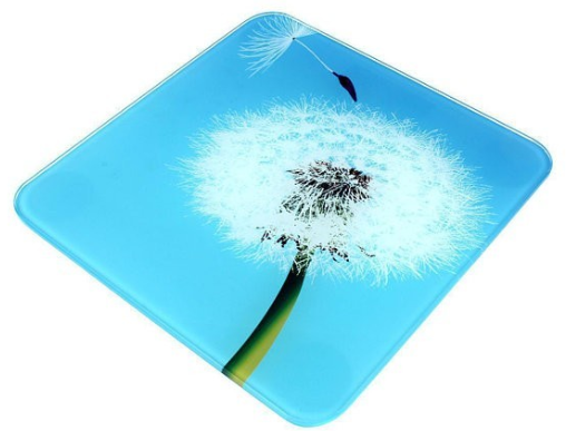 

Электронные Напольные весы Domotec ACS 2019 до 180 кг