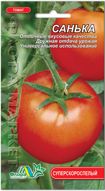 Описание сорта томата санька золотой. Томат "Санька", раннеспелый. Санька ультраранний томат. Томат Санька характеристика. Сорт томатов Санька.