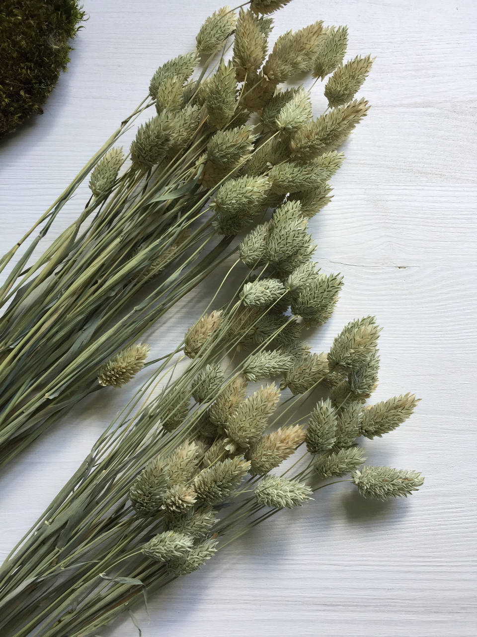 

Фалярис натуральный (50 шт)