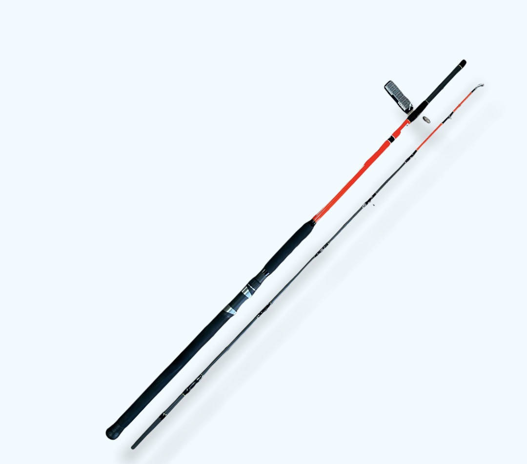 

Спиннинг штекерный WEIDA Concorde 100-300, 2.4