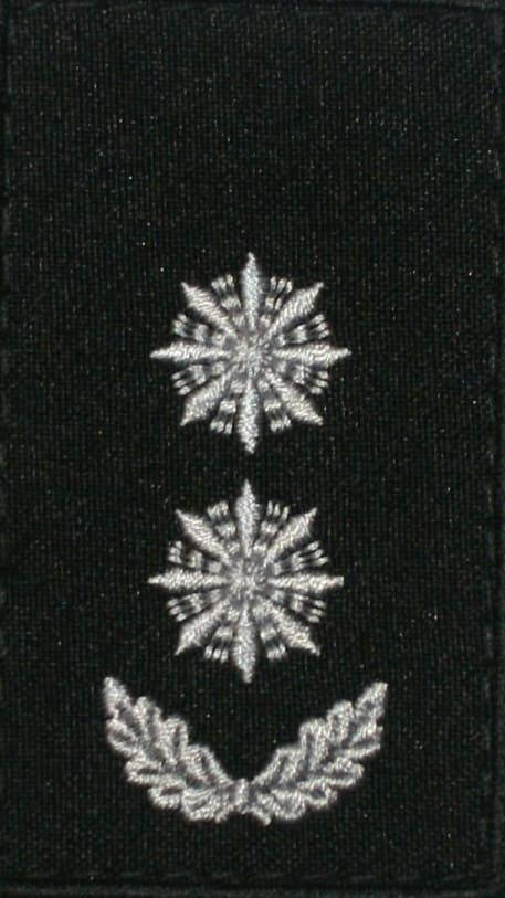 

Погоны подполковника полиции