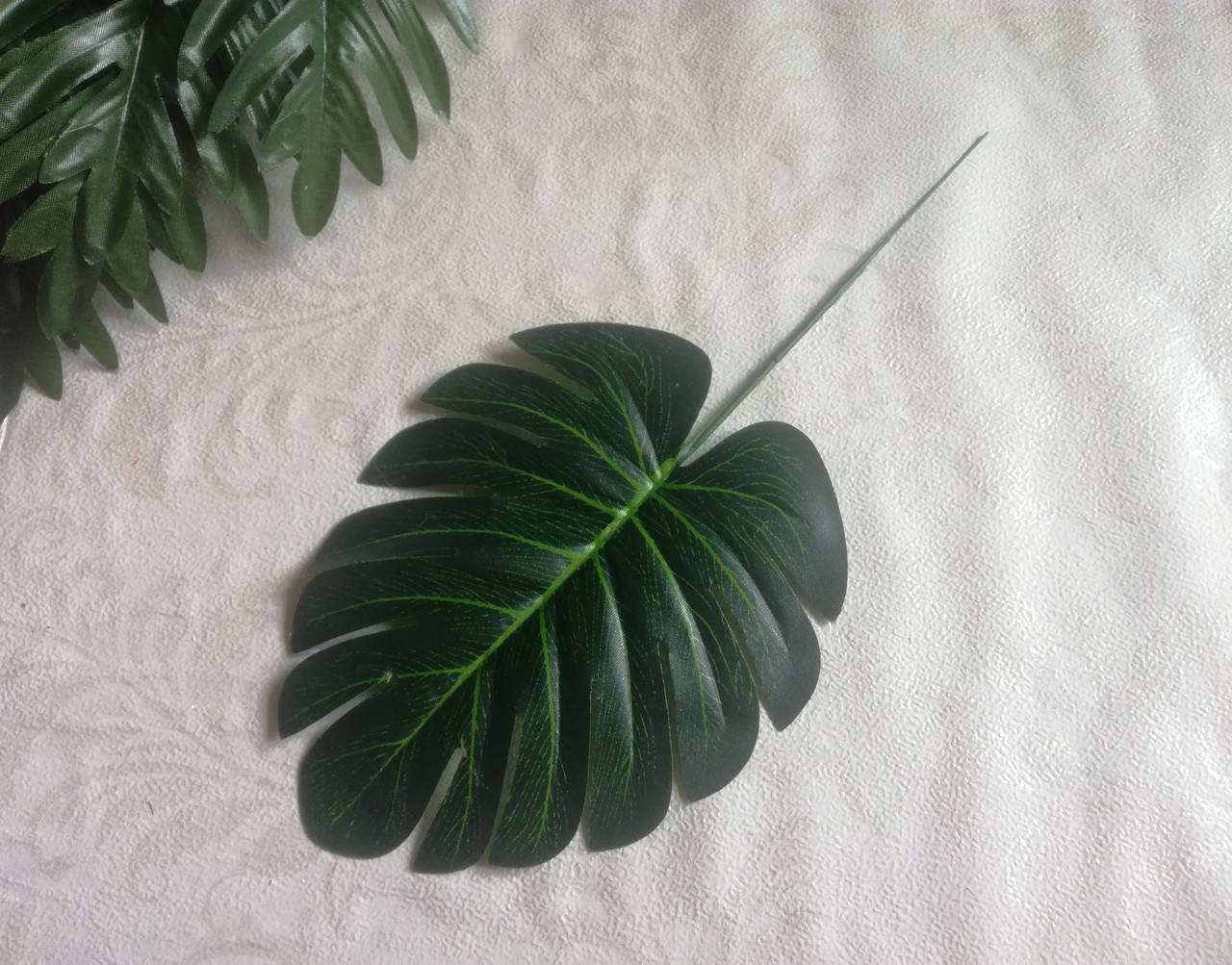 

Лист монстеры