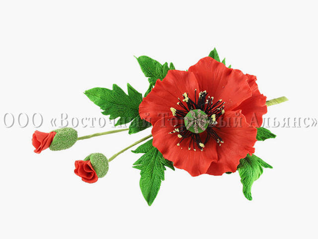 

Букет из мастики - Мак №3 L-250