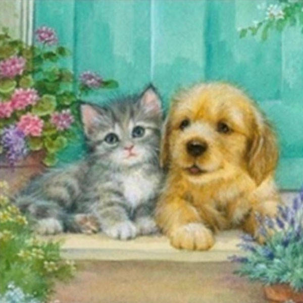 

Алмазная мозаика 30*30 см со стразами на подрамнике полная выкладка Просто друзья Песик і кошка