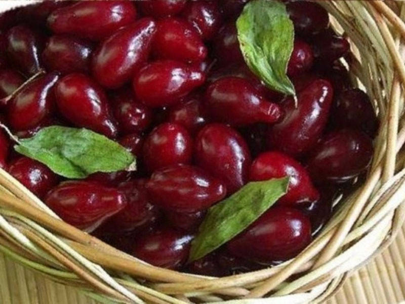 

Кизил ГРЕНАДЕР (двухлетний) раннего срока созревания