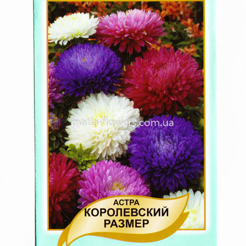 

Семена Астра Королевский Размер 0,5 г