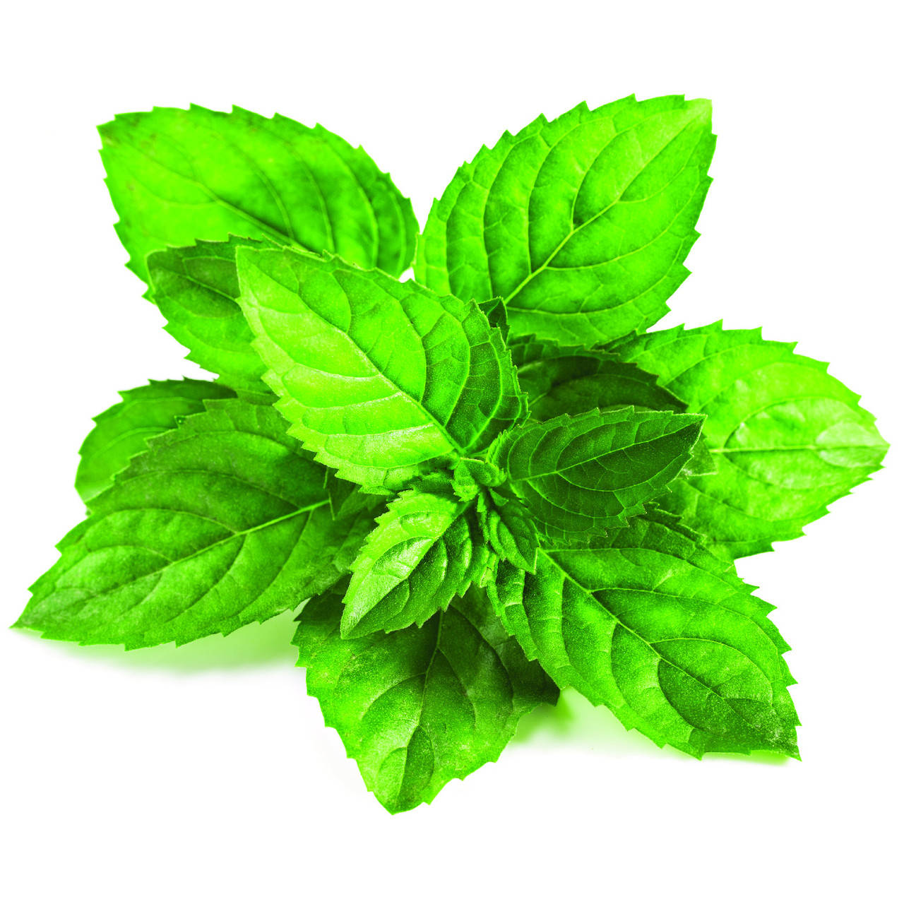 

Ароматизатор TPA Spearmint (Мята) 10мл.
