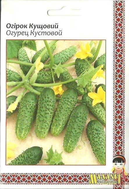 Купить Семена Огурцов Кустовой