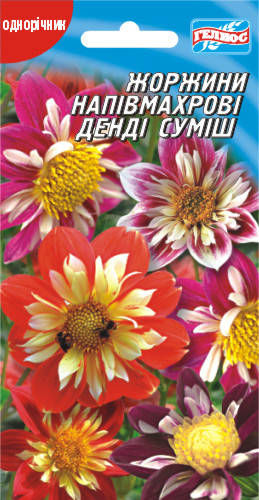 

Георгины Денди полумахровые смесь 20 шт.