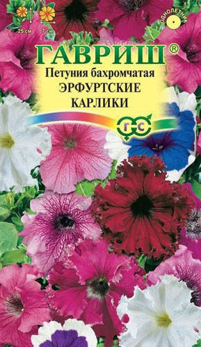 

Семена Петуния Эрфуртские карлики 10 семян Гавриш, Разные цвета