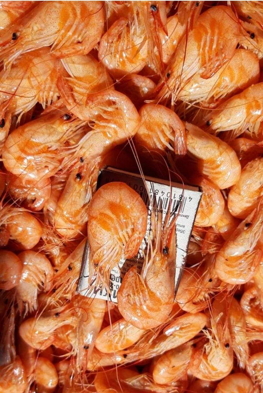 

Азовская креветка