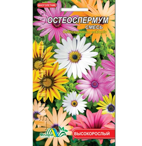

Остеоспермум смесь, многолетнее растение высотой 30-45 см, семена цветы 0.1 г