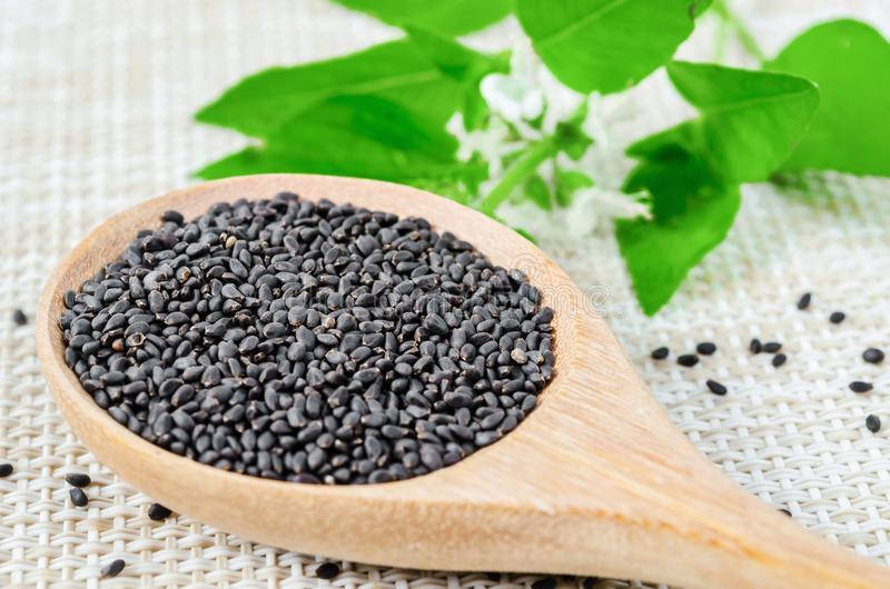 

Семена Базилик (лимонный) микрогрин 500