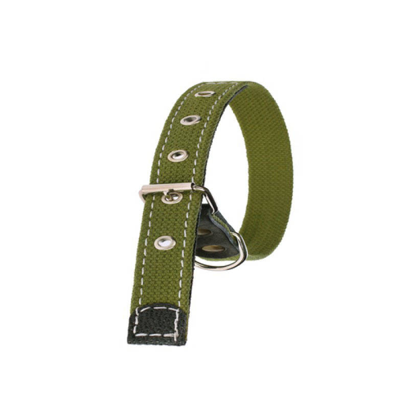 

Брезентовый ошейник для собак усиленный. Ошейник брезентовый одинарный для собак, Зеленый, Хаки