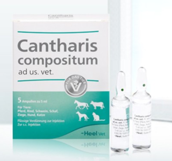 

Кантарис композитум 5 мл * 1 ампула - гомеопатическое средство