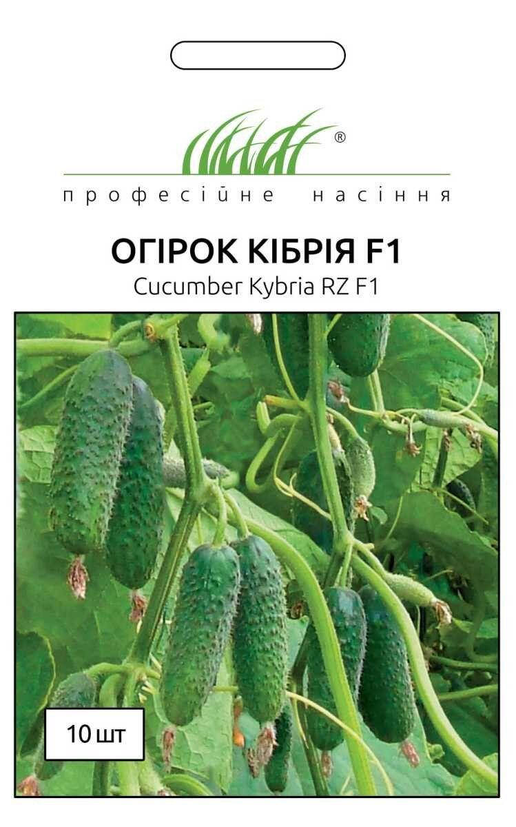 

Семена огурца Кибрия F1. Rijk Zwaan, Нидерланды 50шт