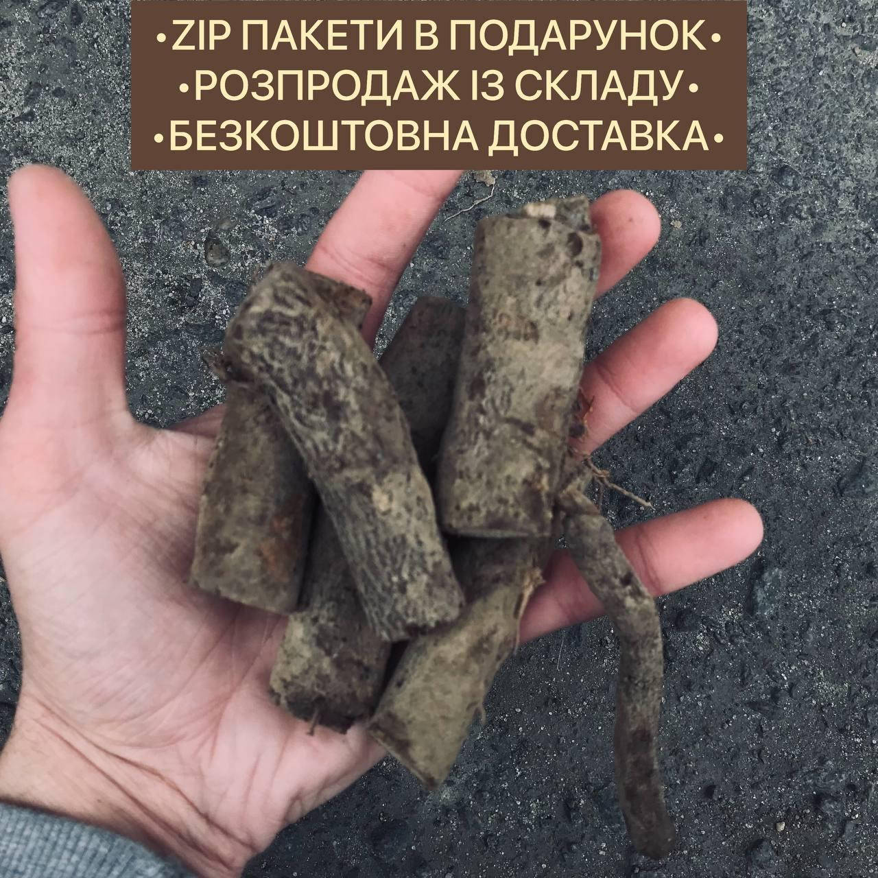 

Толстые корешки Павловнии , Медоносный сорт VIP корешки Павловнии , Бесплатная доставка, Толщина 2 см