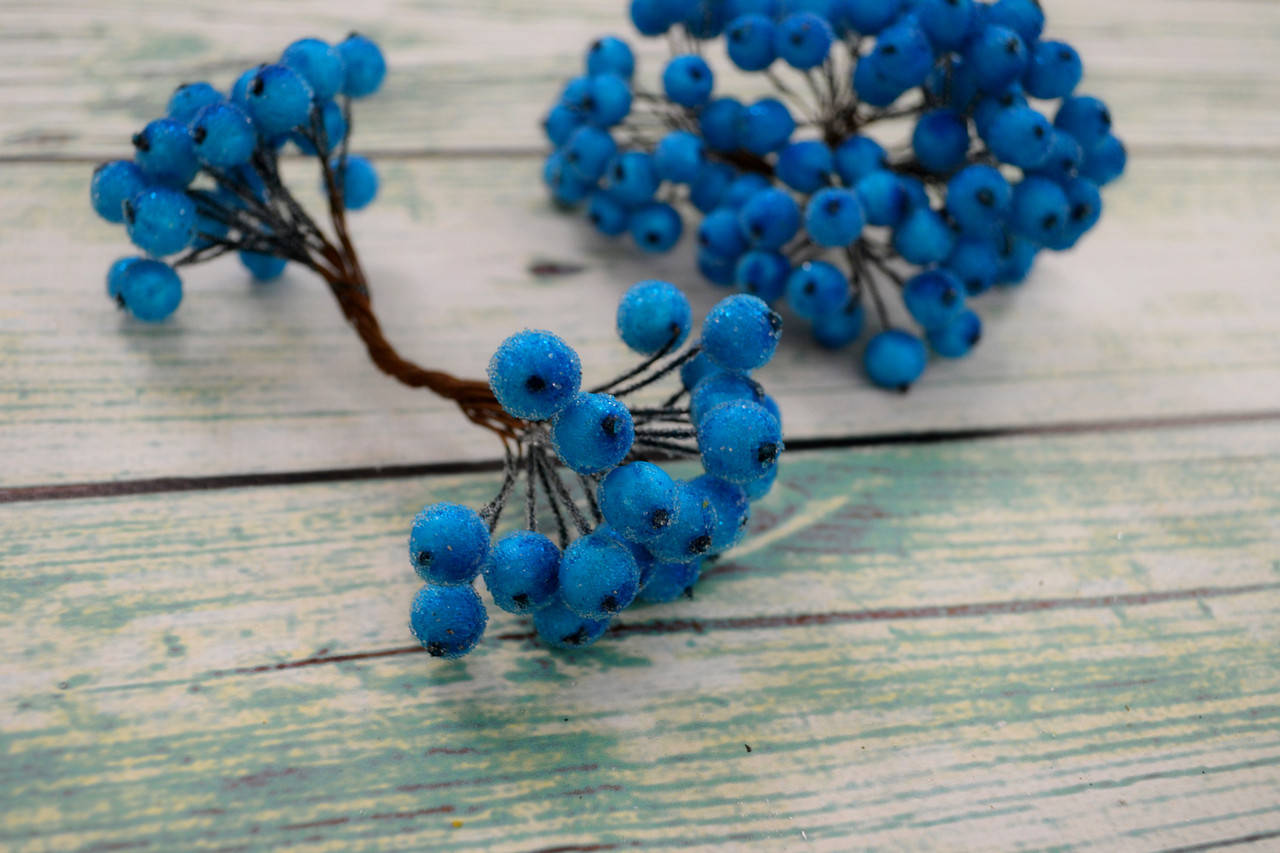 

Калина сахарная 12мм пучок 18-20 веточек цвет - голубая