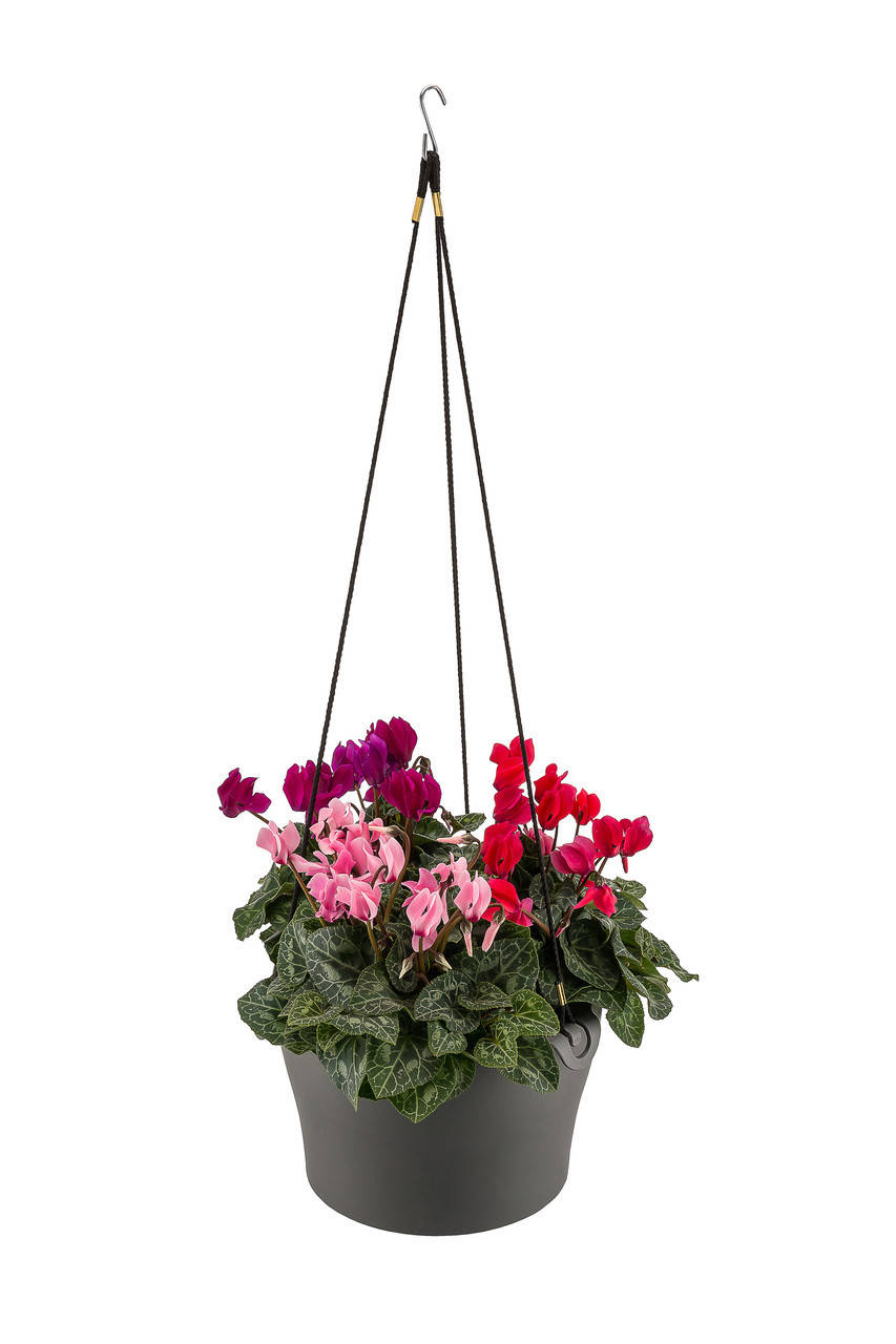 

Горшок для цветов Рoliwork Gardenya Makreme подвесной круглый 4,7 л 26 x 15 см, Цвет Антрацит