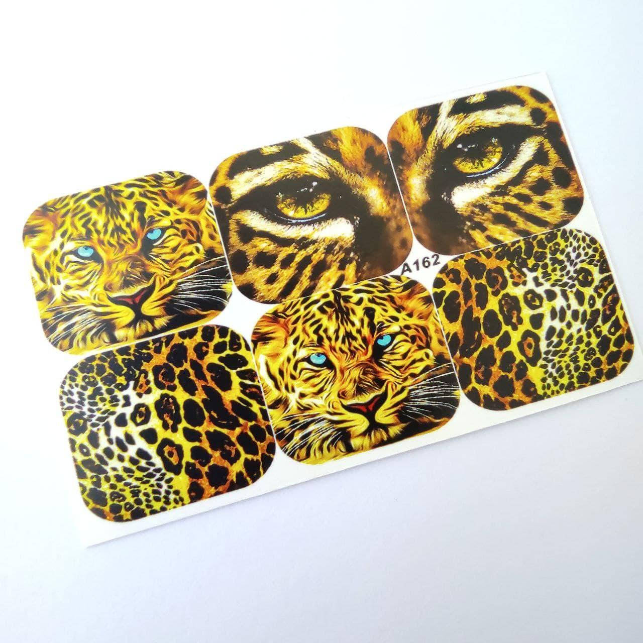 

Слайдер-дизайн А162