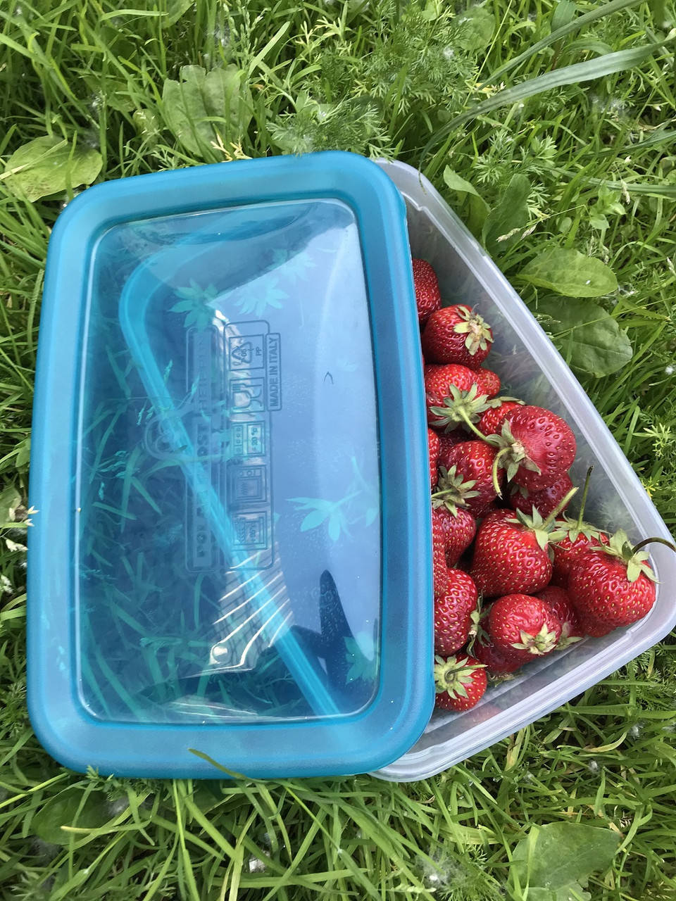 

Контейнер для хранения в морозилке 2,5л Heidrun PolarFrost 25,5*16,5*8,6см (HDR-1758), Прозрачный