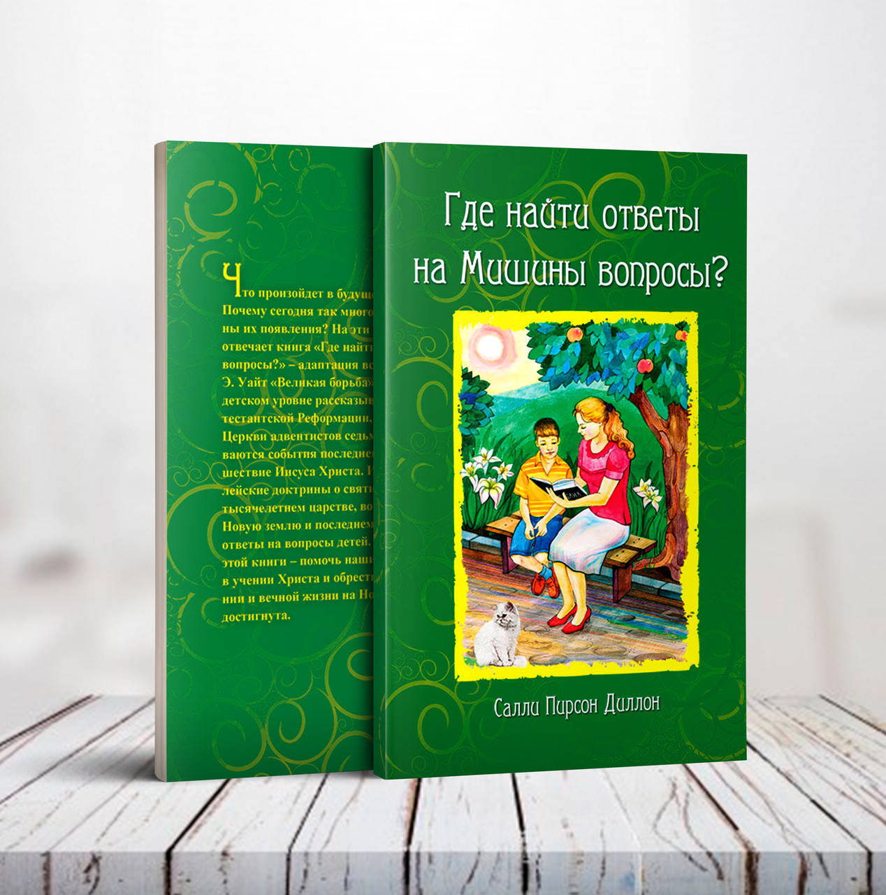 

Где найти ответы на Мишины вопросы (Великая борьба для детей) – Салли Пирсон Диллон (6+)