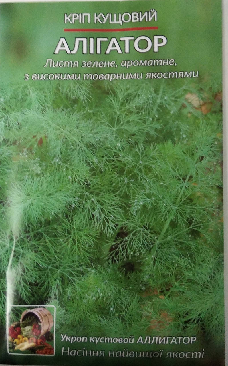 

Насіння Кріп кущовий Алігатор 10 г