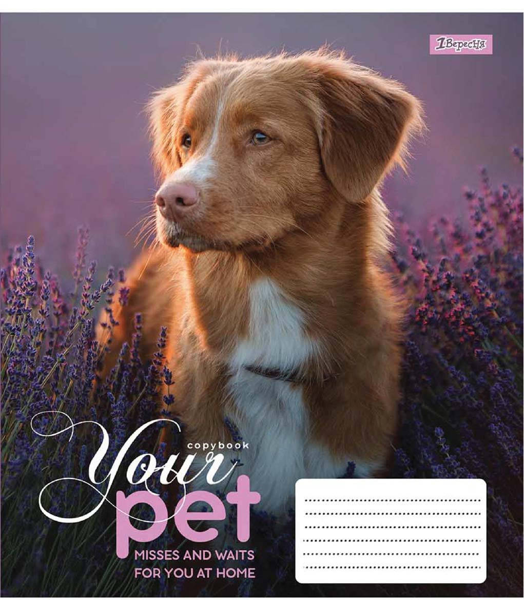 

Зошит учнівський А5/18арк. клітинка "Dog loyality" 1В