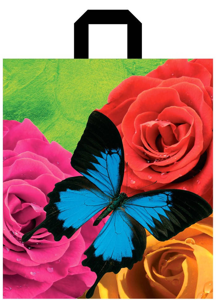 

Пакет с петлевой ручкой 30х35