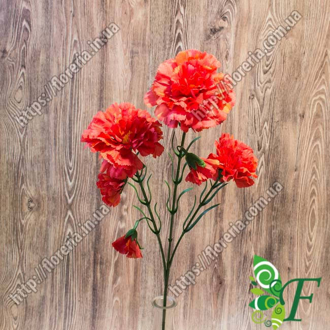 

Ветка гвоздика натуральная красный Б-29