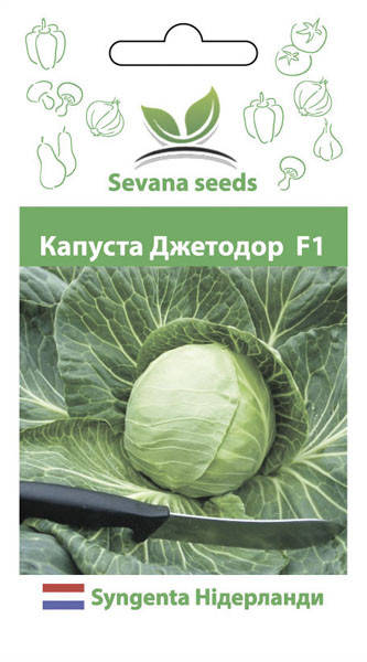 

Семена капусты Джетодор F1 20 шт. Syngenta