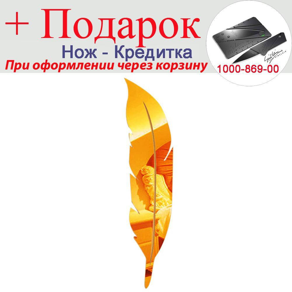

Наклейка зеркальная Перо 3D 18см х 73см 18 х 73 см Золотой