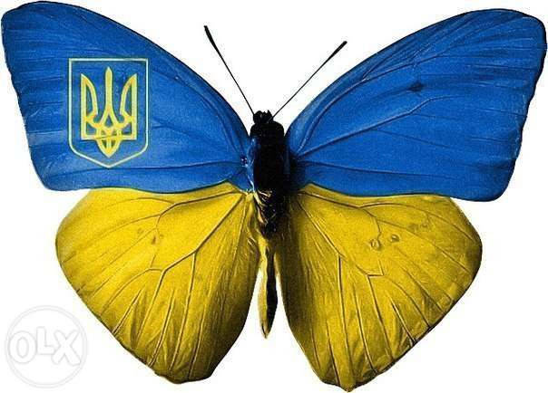 

Обложка обкладинка на паспорт Україна метелик