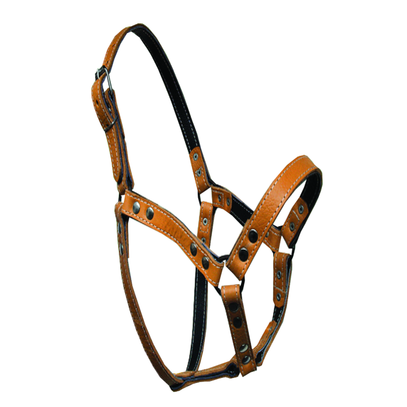 

948 Недоуздок кожаный двойной