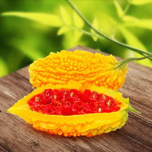 

Семена Момордика Голландия